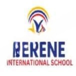 Serene International School logo