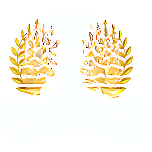 Shree Ananthnagar Vidyaniketan logo
