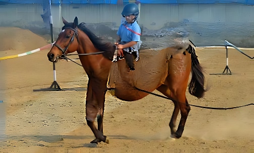 Shri Ram Global School — photo 9