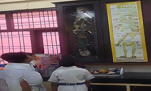 Shri S.N. Sidheshwar Public School — photo 12