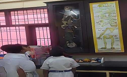 Shri S.N. Sidheshwar Public School — photo 15