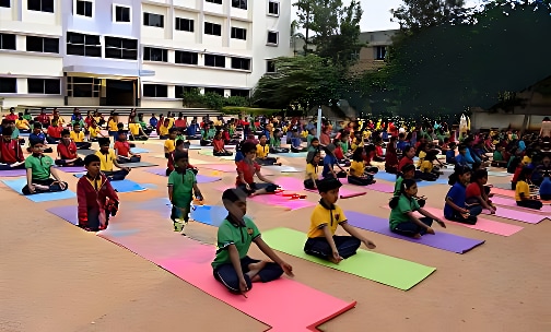 Silver Spring International School — photo 8