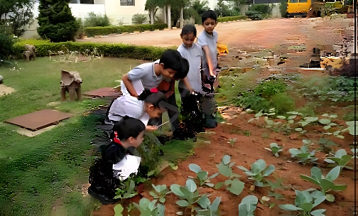 Smrti Academy — photo 3