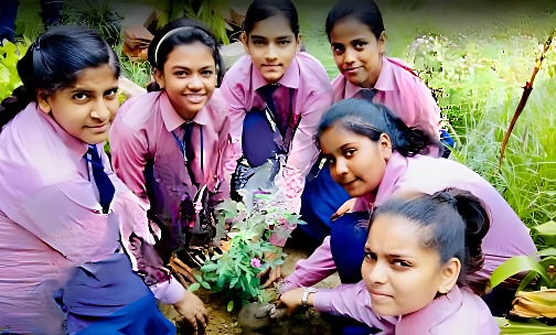 Solanki Public School — photo 5