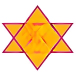 Sri Aurobindo Vidya Mandir logo