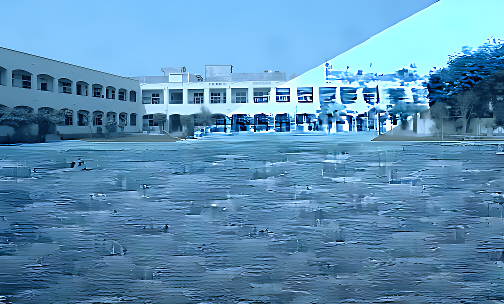 Sri Krishna Public School — photo 1
