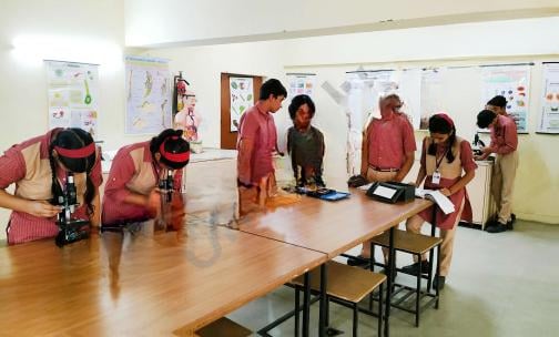 Sri Ram International School — photo 2