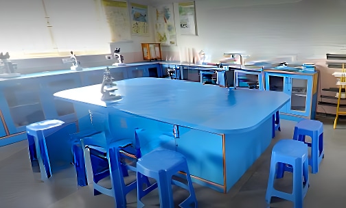 Sri Sri Ravishankar Vidya Mandir — photo 9