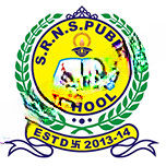 SRNS Public School logo