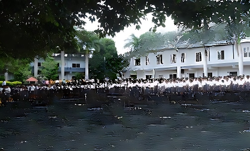 SSVN Public School — photo 5