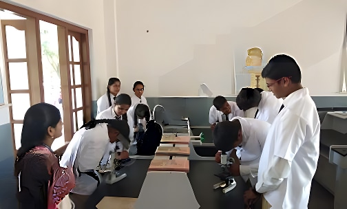 St. Dominic’s School — photo 5