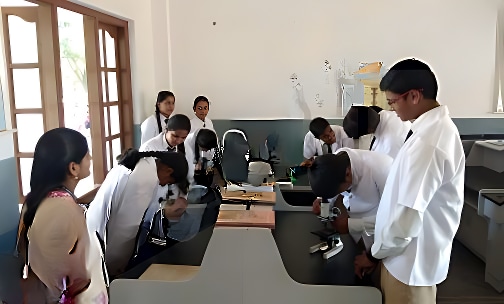 St. Dominic’s School — photo 6