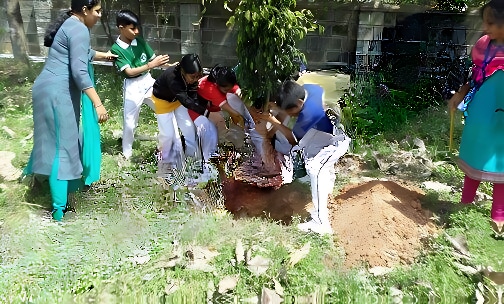 St. Joseph Chaminade Academy — photo 4