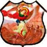 St. Michael's Senior Secondary School logo