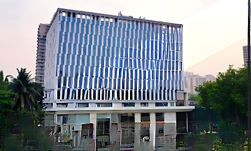 Stellar World School — photo 2