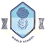 Stellar World School logo