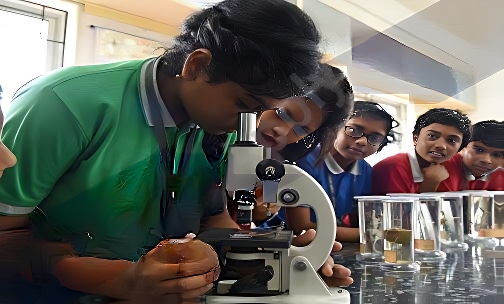 STEM World School — photo 11