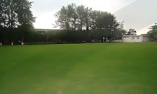 Summerfield School — photo 9