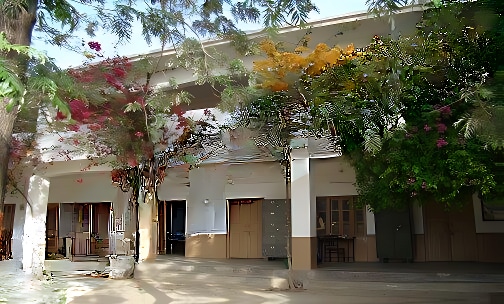 Summerfield School — photo 11