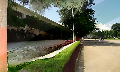 Summerfield School — photo 13