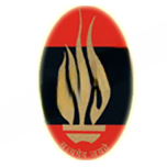 Summerfield School logo