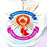 Sunny Convent School logo