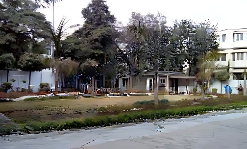 Suraj Bhan DAV Public School — photo 2