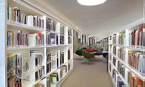 SVN English High School — photo 4