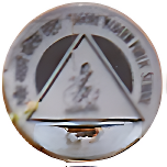Tagore Modern Public School logo