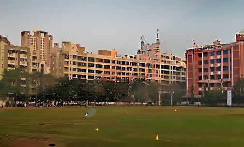 Thakur Shyamnarayan High School — photo 2