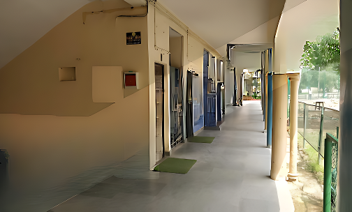 The Air Force School — photo 3