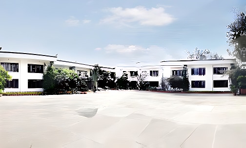 The Asian School — photo 3