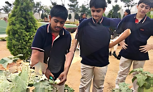 The Cambridge International School — photo 7