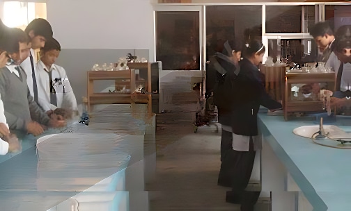 The Dev Public School — photo 3