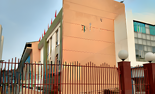 The Millennium School — photo 6