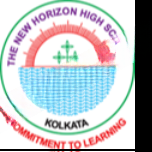 The New Horizon High School logo