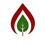 The Pinnacle School logo