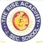 The Rise Academy Senior Secondary School logo