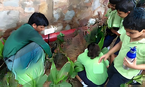 The Shri Ram School — photo 1
