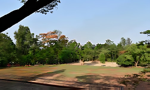 The Valley School — photo 4