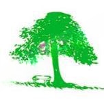 The Valley School logo