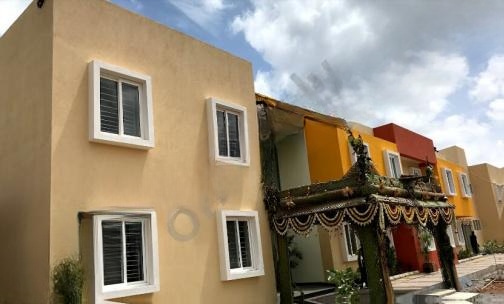 The World School — photo 3