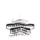 Tolani College of Commerce logo