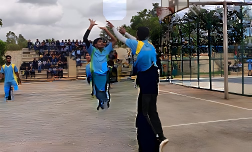 Treamis World School — photo 8