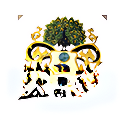 Trinity International School logo