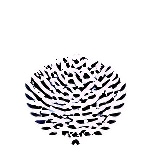 Triumph World School logo