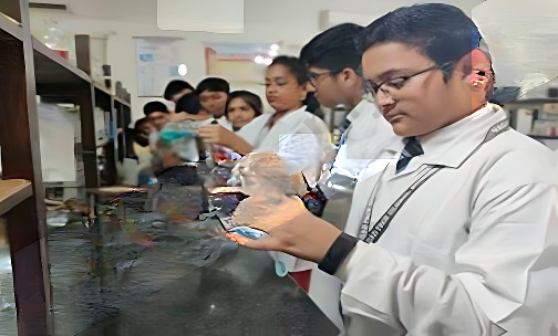 Vagad Pace Global School — photo 4