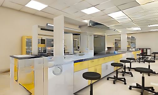 Vega School — photo 3