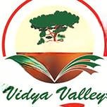 Vidya Valley World School logo