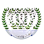 VR International School logo